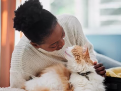 Melhores animais de estimação para ter num apartamento