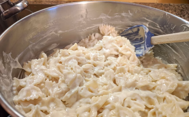 Farfalle ao molho de queijo-Receitas
